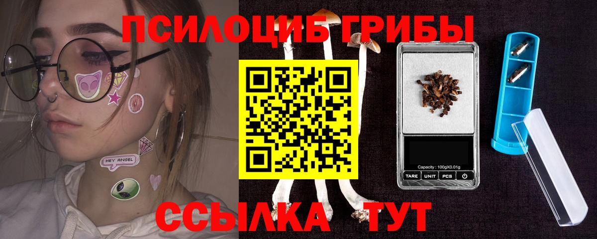 Галлюциногенные грибы Psilocybe  Псилоцибиновые грибы мицелий  Вход с VPN  Орск 